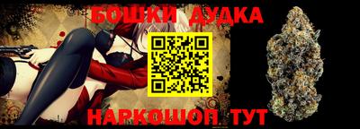 прущие грибы Нальчик