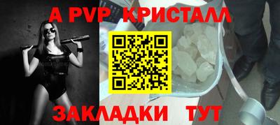 прущие грибы Нальчик