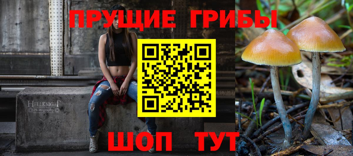 Старый Оскол  Псилоцибиновые грибы мухоморы  Псилоцибиновые грибы прущие грибы  Вход с VPN 