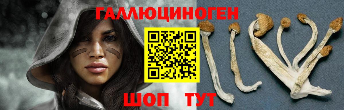 Псилоцибиновые грибы Psilocybine cubensis Старый Оскол